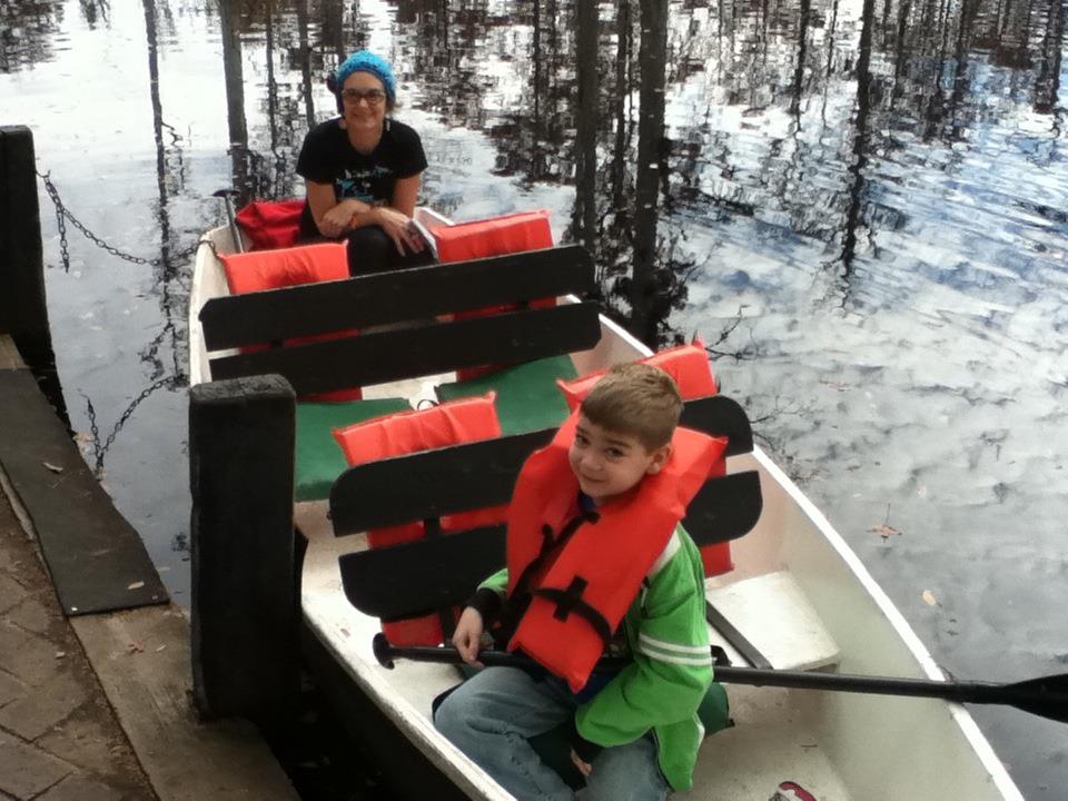 Fain and Autumn in the swamp