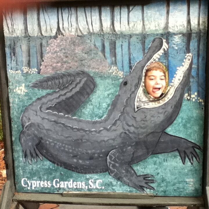 Fain eaten by an alligator